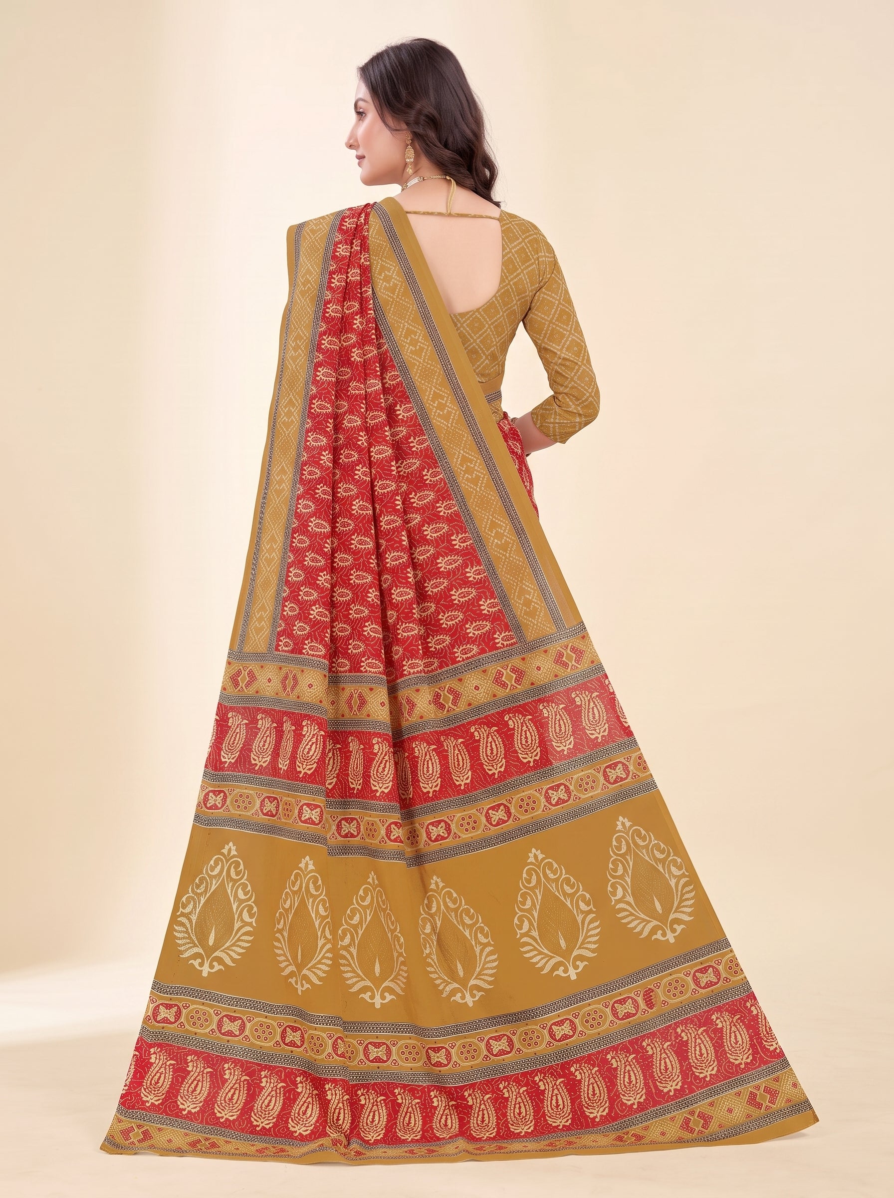 Back pallu [sku:BV-24843]