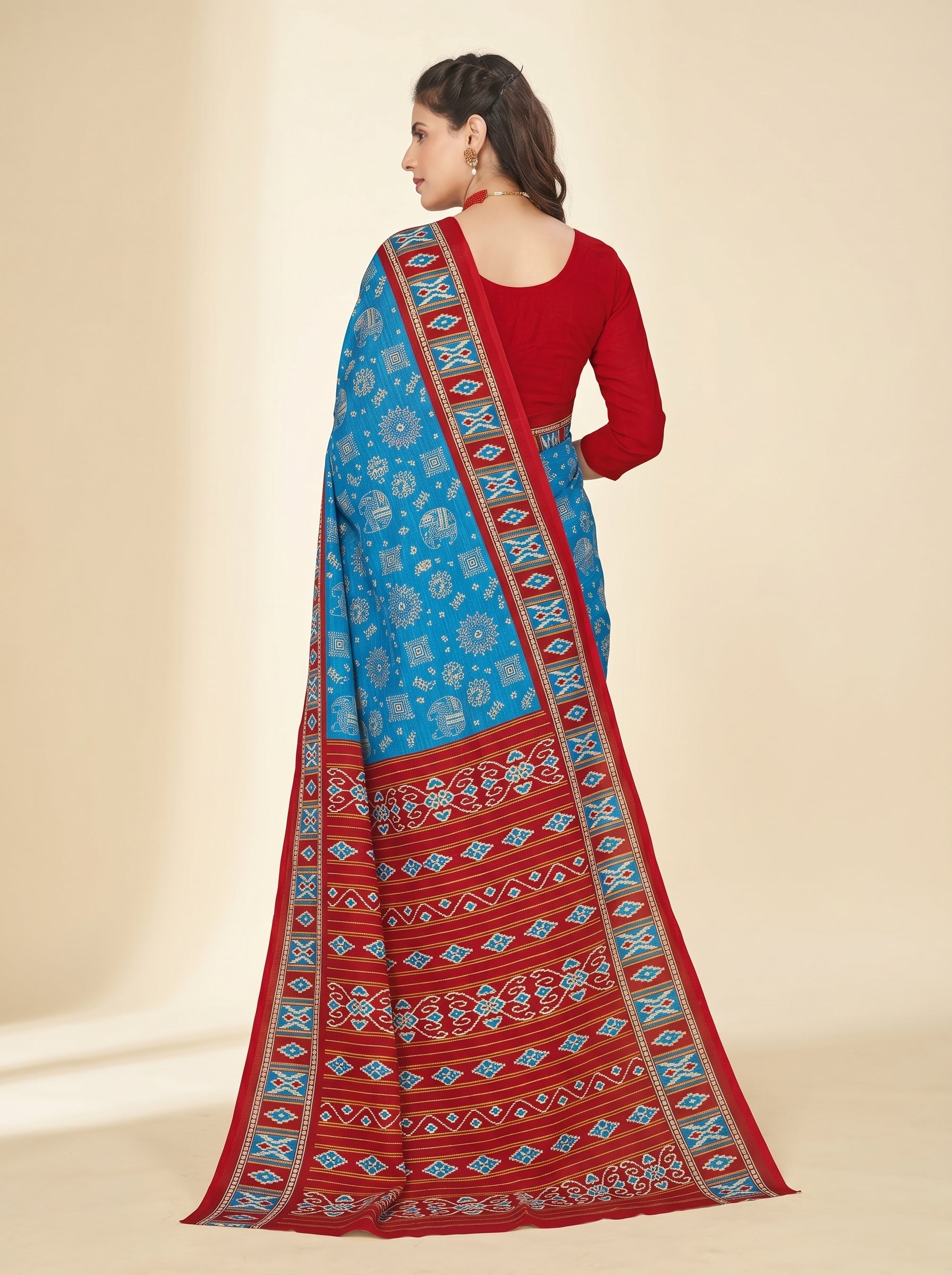 Back pallu