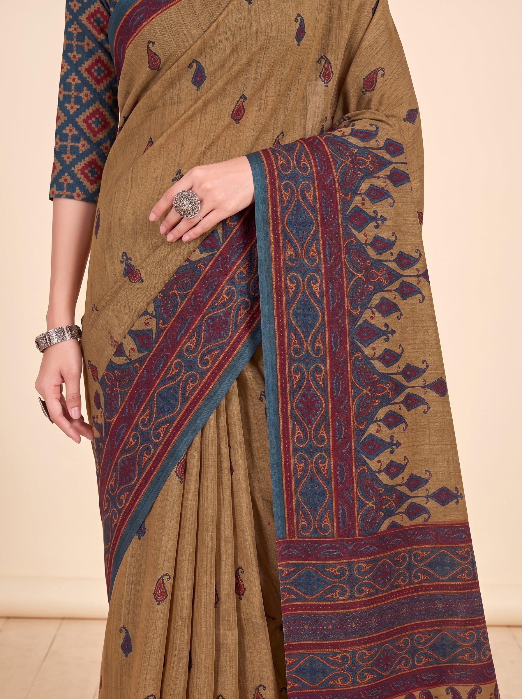 Shared pallu close-up [sku:KN-67478]