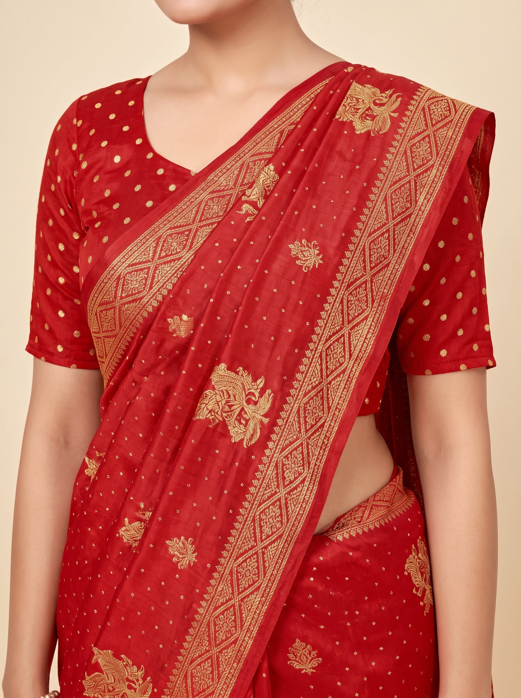Pallu close-up [sku:KN-64269]