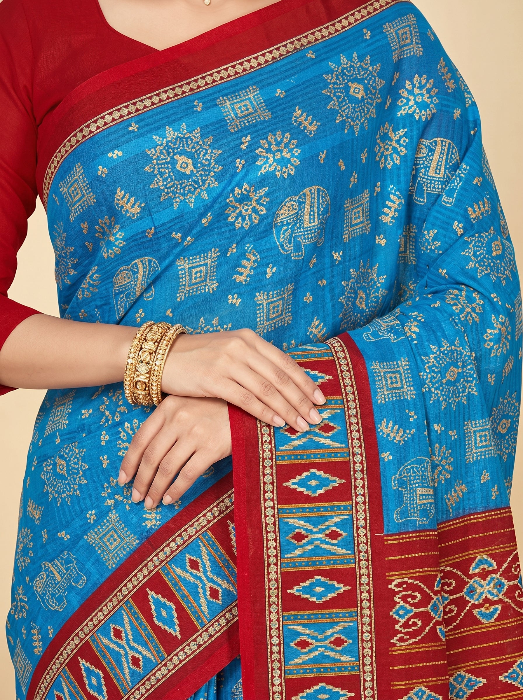 Pallu close-up