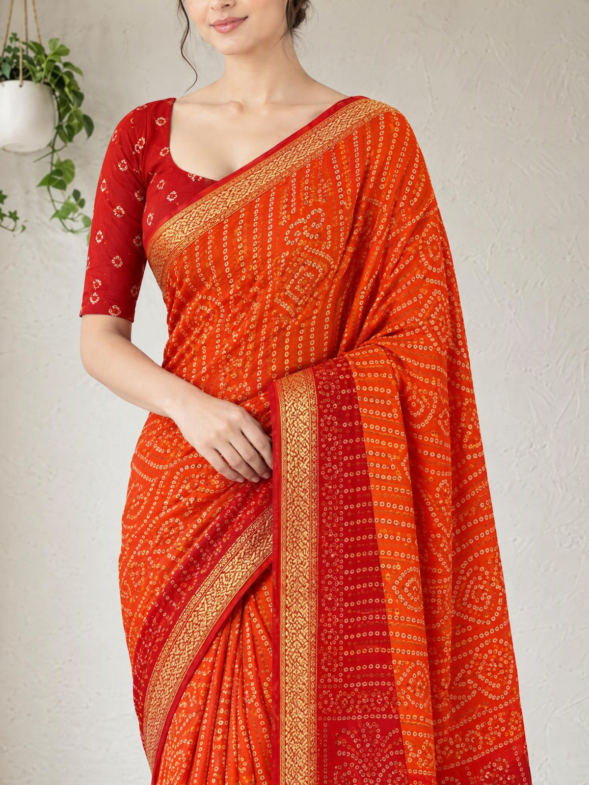 Pallu close-up [sku:KN-72228]