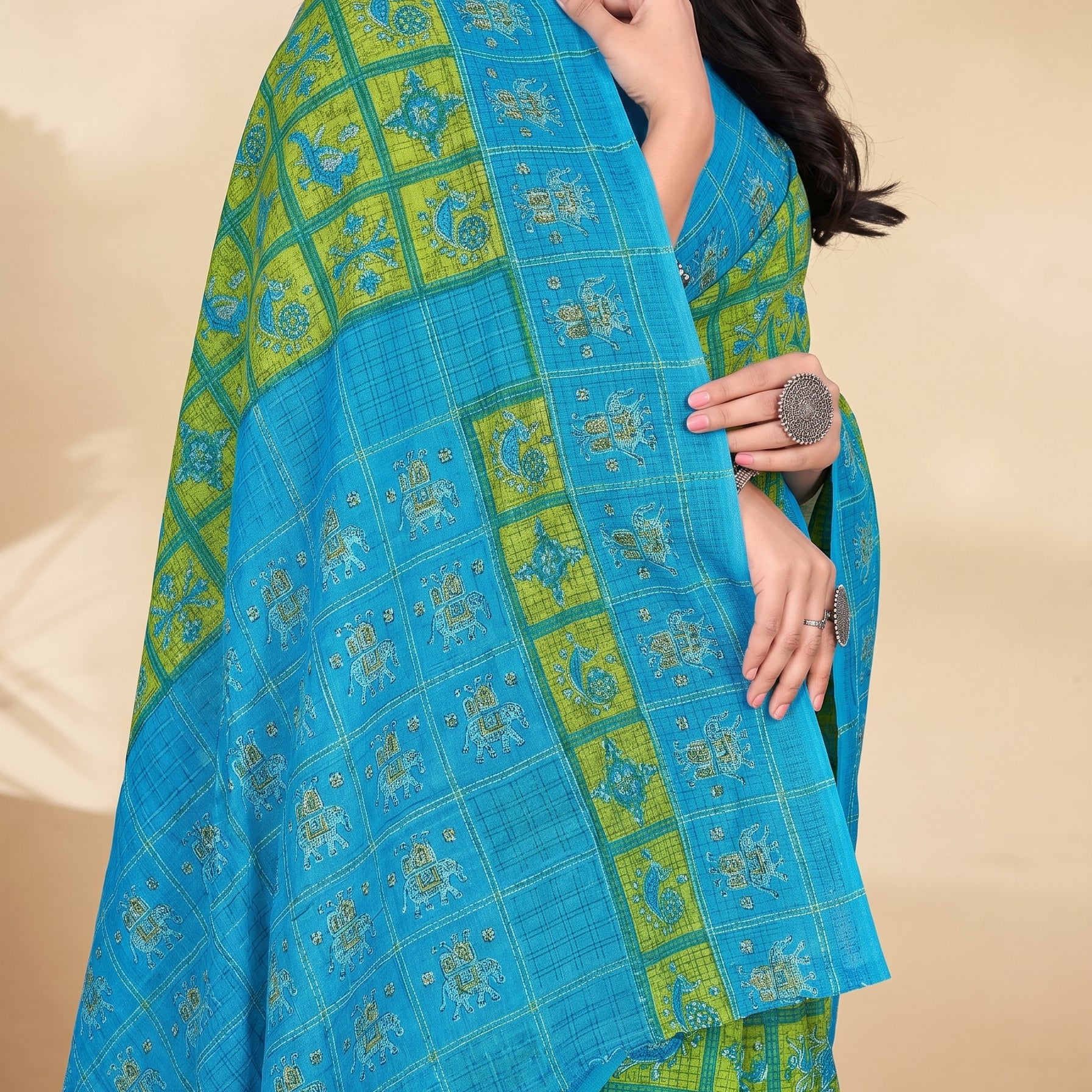 Pallu close-up