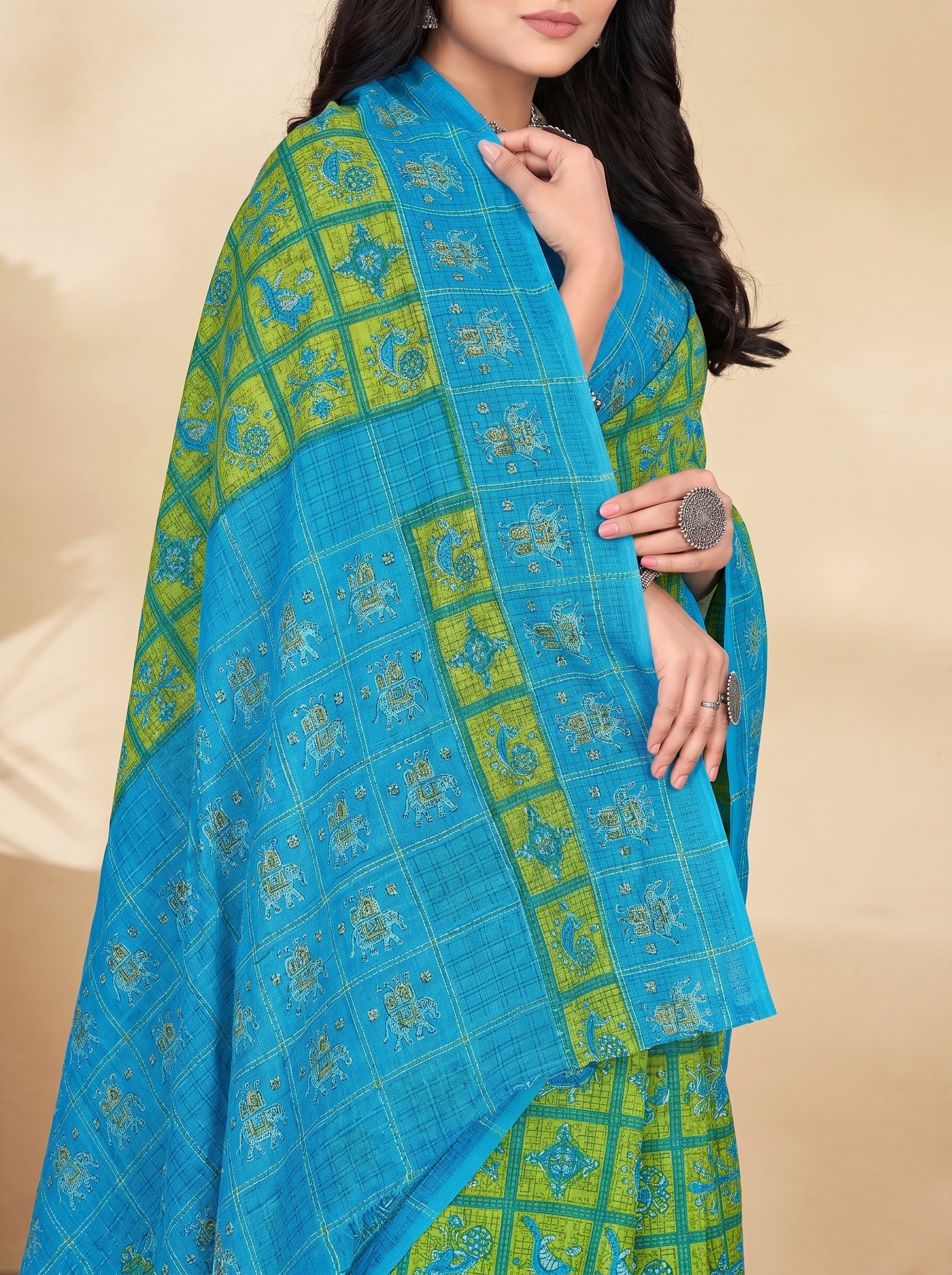 Pallu close-up