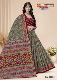 Elephant Patola Pallu